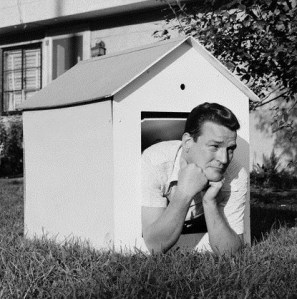 In-the-Dog-House-IDH