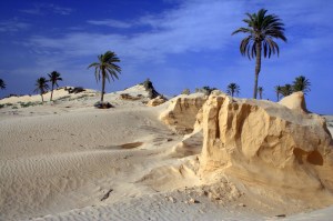 3472337819_c63c28413a_b